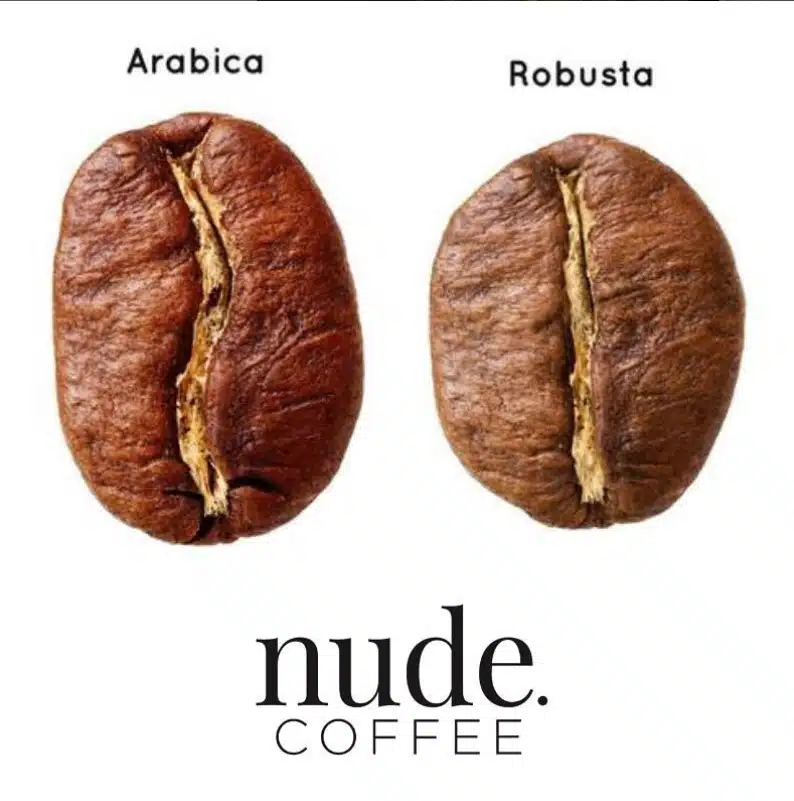 Naked Coffee Menu Specialist Coffee Beans